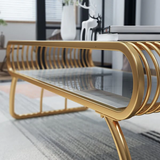 2 Shelf Rectangular Shape Center Table Gold Paint Finish