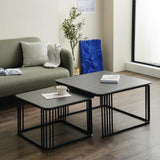 2 pieces Center Table Set versatile and stylish Look