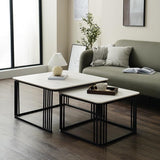 2 pieces Center Table Set versatile and stylish Look