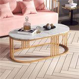Capsule Shape Center Table Elegant Modern Design Rode Based Table