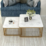 2 pieces Center Table Set versatile and stylish Look