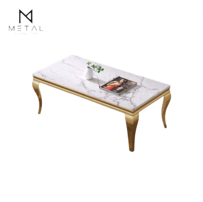 Modern Metal Furniture center table with viatorial legs, stylish sofa-style design, perfect for contemporary living room decor.